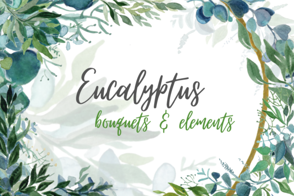 Download Eucalyptus Watercolor Clipart Bundle - Eucalyptus watercolor Collection